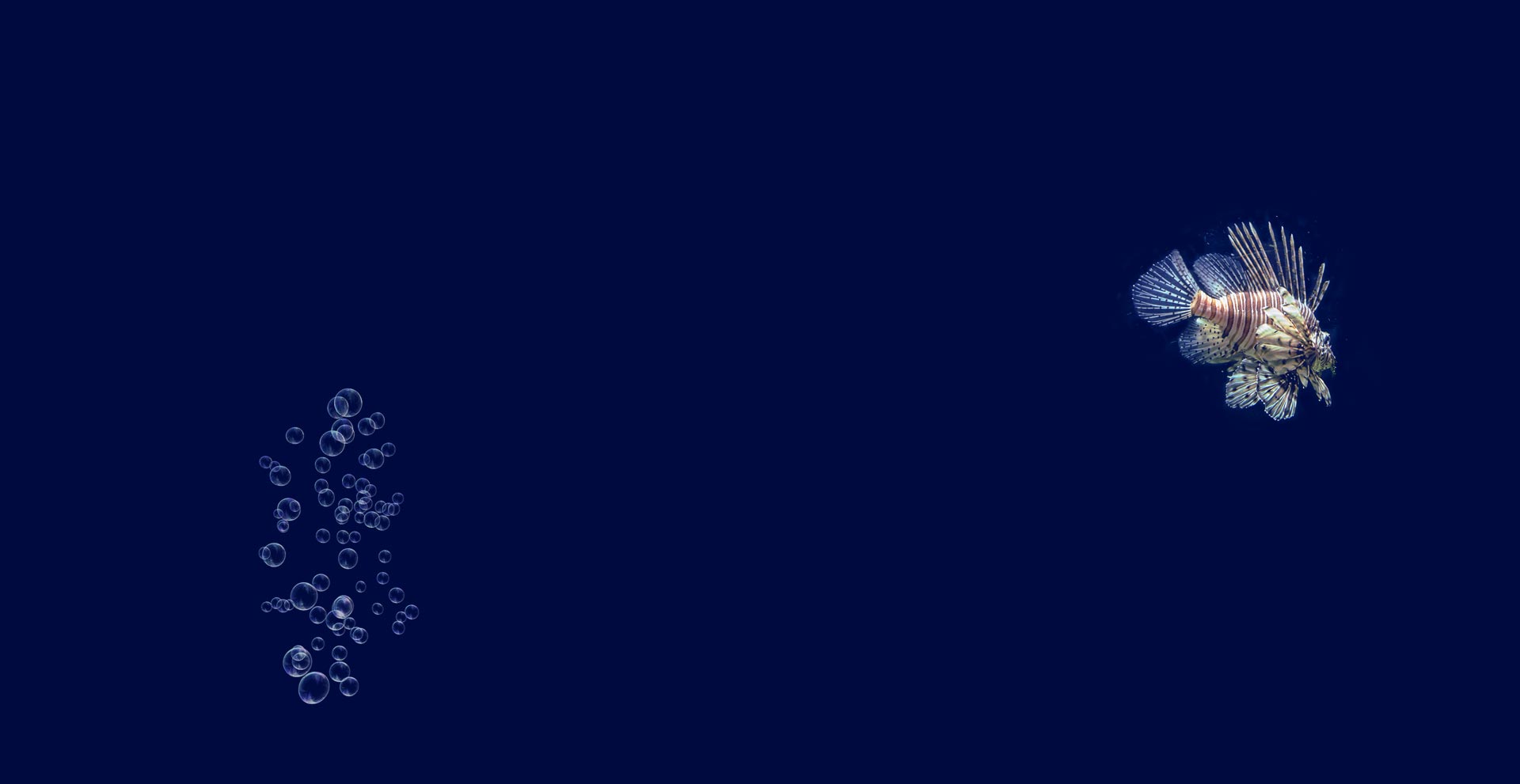 home_underwater_sectionbg1